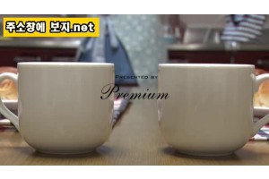 보지넷 야동 사이트
