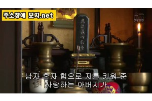 보지넷 야동 사이트