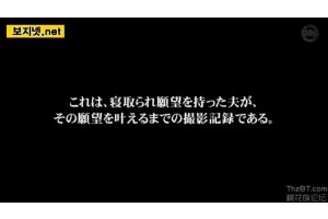 보지넷 야동 사이트