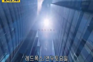 보지넷 야동 사이트