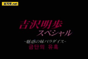 보지넷 야동 사이트