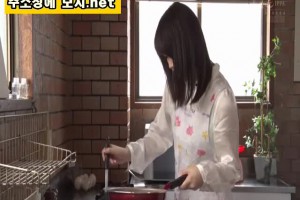 보지넷 야동 사이트