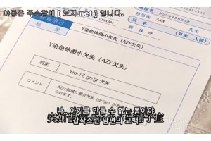 보지넷 야동 사이트