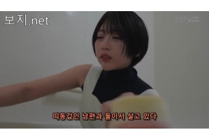 보지넷 야동 사이트