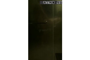 보지넷 야동 사이트