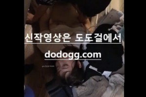 보지넷 야동 사이트