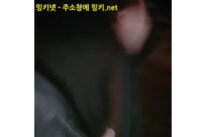 보지넷 야동 사이트