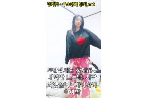 보지넷 야동 사이트