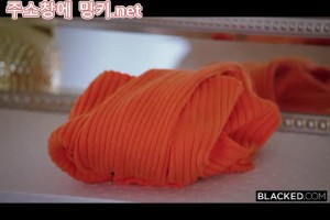 보지넷 야동 사이트