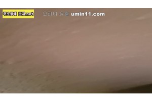 보지넷 야동 사이트