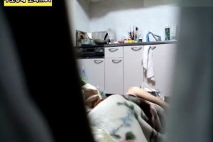 보지넷 야동 사이트
