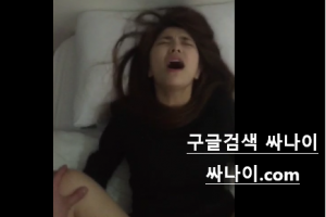 보지넷 야동 사이트