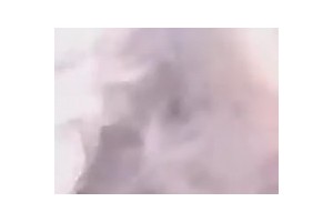 보지넷 야동 사이트