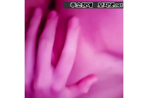 보지넷 야동 사이트