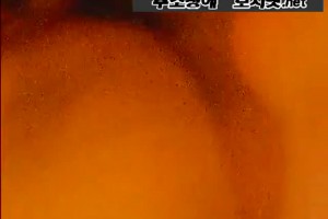 보지넷 야동 사이트