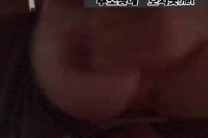 보지넷 야동 사이트