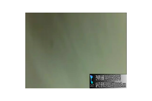 보지넷 야동 사이트