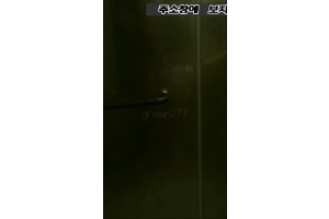 보지넷 야동 사이트