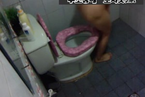보지넷 야동 사이트