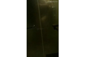 보지넷 야동 사이트