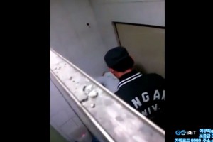 보지넷 야동 사이트