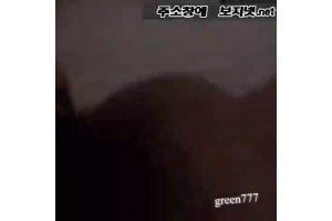 보지넷 야동 사이트