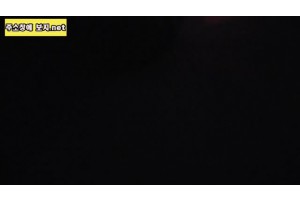 보지넷 야동 사이트