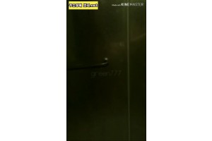 보지넷 야동 사이트