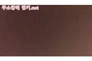 보지넷 야동 사이트