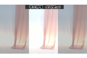 보지넷 야동 사이트