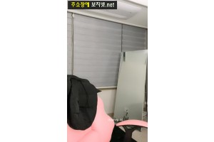 보지넷 야동 사이트