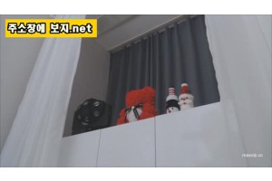보지넷 야동 사이트