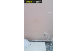 보지넷 야동 사이트
