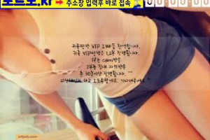 보지넷 야동 사이트