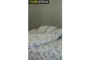 보지넷 야동 사이트