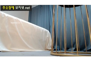 보지넷 야동 사이트
