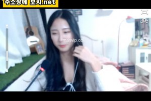 보지넷 야동 사이트