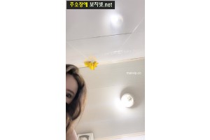 보지넷 야동 사이트