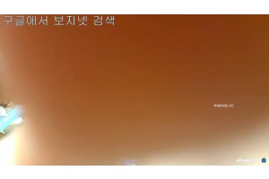 보지넷 야동 사이트