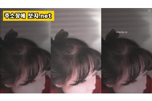 보지넷 야동 사이트