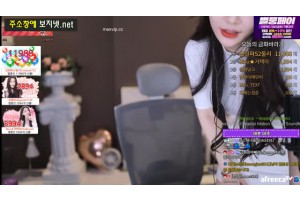 보지넷 야동 사이트