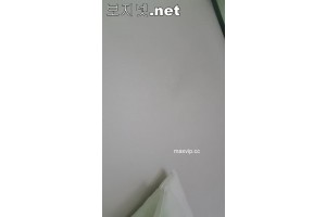 보지넷 야동 사이트