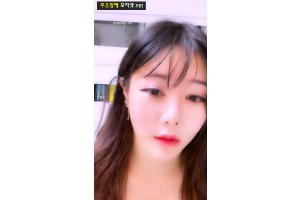 보지넷 야동 사이트