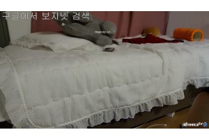 보지넷 야동 사이트