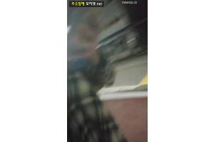 보지넷 야동 사이트