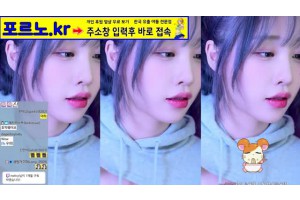 보지넷 야동 사이트