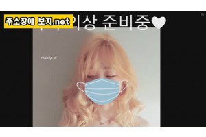 보지넷 야동 사이트