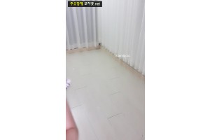 보지넷 야동 사이트