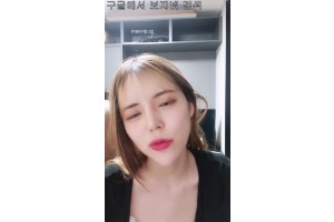 보지넷 야동 사이트