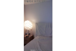 보지넷 야동 사이트